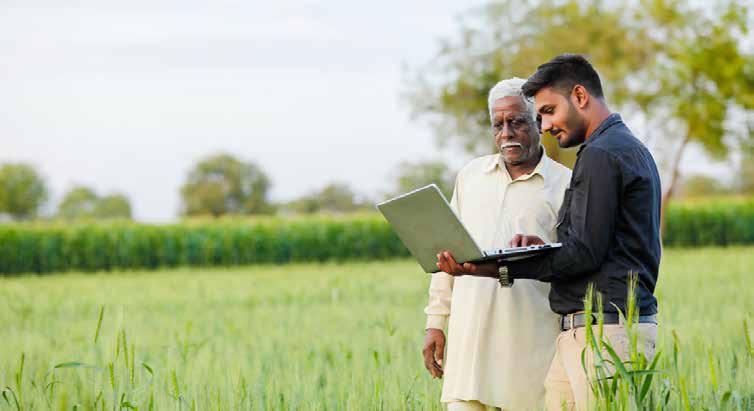 Sowing the seeds of educational change